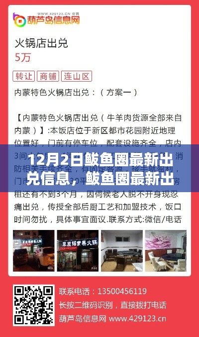 12月2日鲅鱼圈最新出兑信息全攻略,初学者与进阶用户均适用的信息获取指南