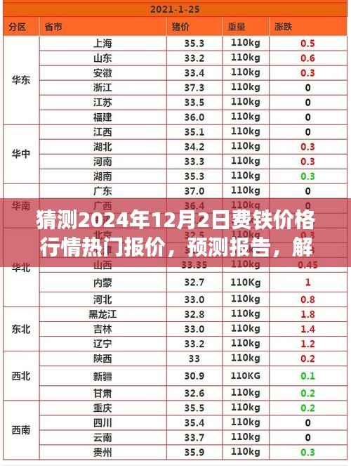 2024年12月2日费铁价格行情预测及市场动态解析报告