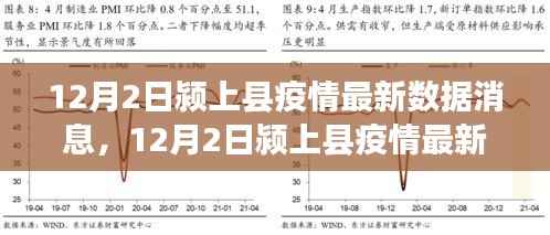 独家解析,颍上县疫情最新数据消息全面解读与案例分析报告