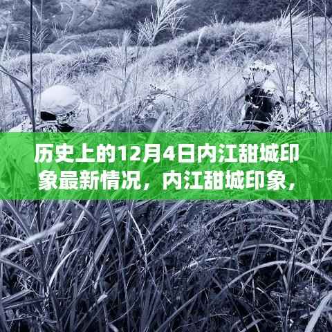 内江甜城印象最新动态,探寻自然美景之旅,感受宁静中的内心平和与喜悦