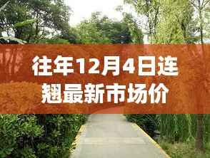 往年12月4日花卉市场洞察,获取连翘与Larch花语市场价格的新手指南与进阶秘籍