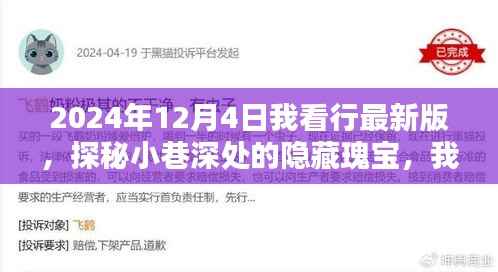 探秘小巷深处的隐藏瑰宝,我在2024年12月4日的独特发现