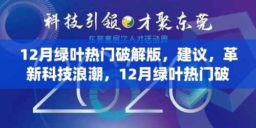 揭秘犯罪风险,12月绿叶热门破解版智能产品体验报告与革新科技浪潮背后的警示