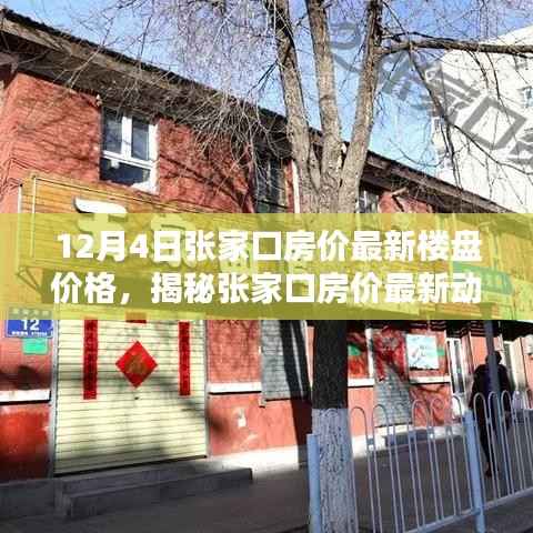 揭秘张家口最新房价动态,楼盘价格与小巷深处的特色小店特色环境