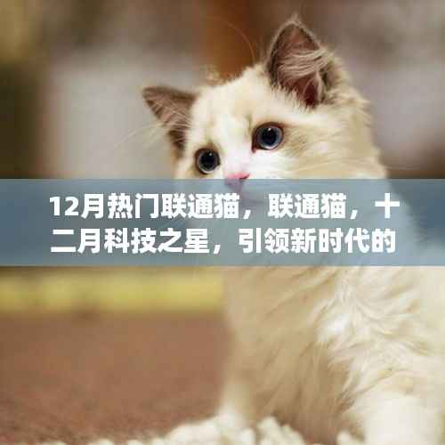 联通猫引领十二月科技风潮,数字化转型之旅启程