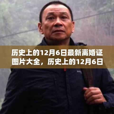 历史上的12月6日离婚证图片大全,最新离婚证一览