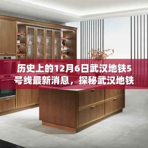 揭秘武汉地铁5号线历史轨迹下的隐藏宝藏,一家小巷特色小店的最新消息(武汉地铁5号线最新动态)