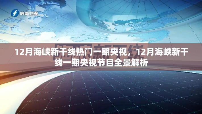 12月海峡新干线央视节目全景解析,热门一期的精彩内容一览