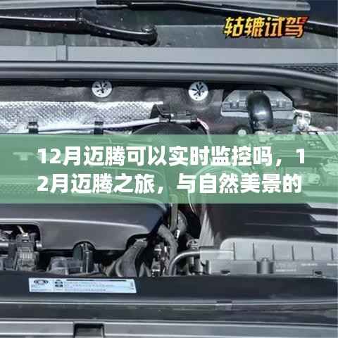 12月迈腾之旅,实时监控与自然美景的交融,追寻内心的平和宁静