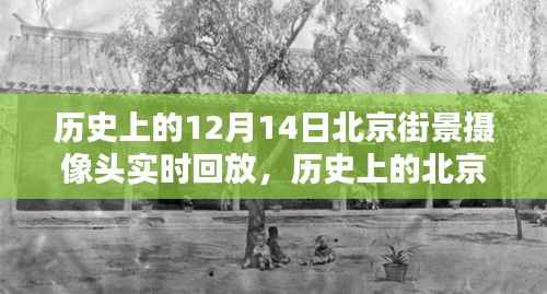 透过时间的镜头,回望历史上的十二月十四日北京街景实拍记录回放
