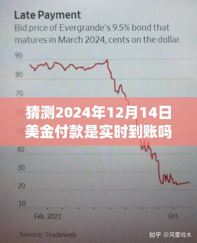 关于预测分析,2024年美金付款实时到账的现状与趋势展望