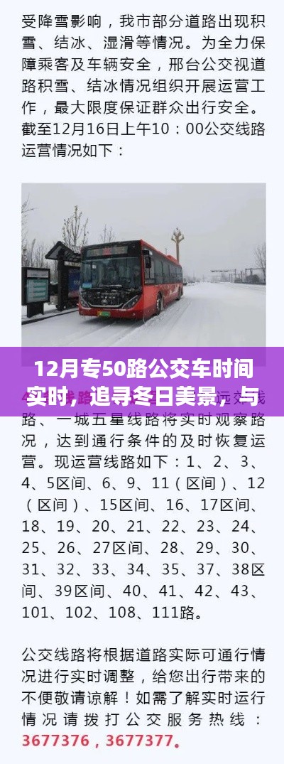 冬日公交之旅,追寻美景的心灵逃离与发现之旅——专50路公交车实时时间指南