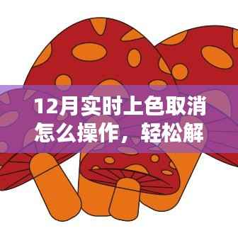 12月实时上色取消操作指南,轻松掌握取消流程