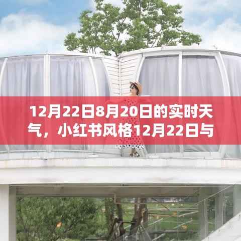 小红书风格揭秘,揭秘12月22日与8月20日天气实况,出行必备参考!