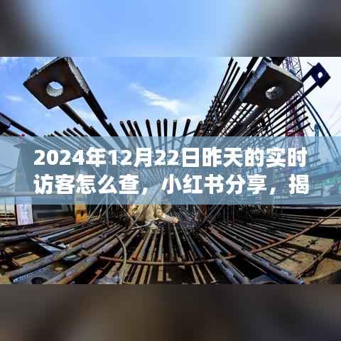 揭秘小红书实时访客查询技巧,如何查看2024年12月22日昨天的实时访客访问轨迹分享