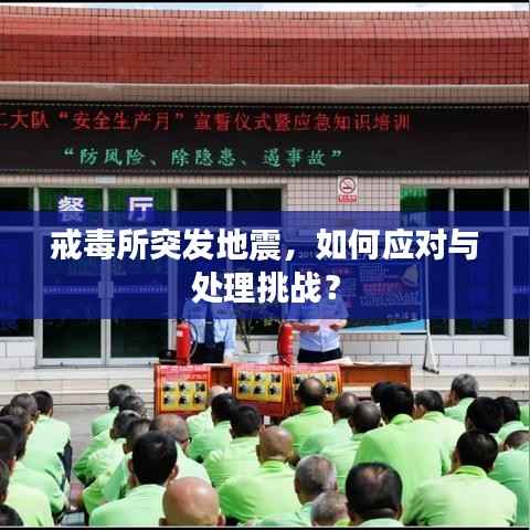 戒毒所突发地震,如何应对与处理挑战?