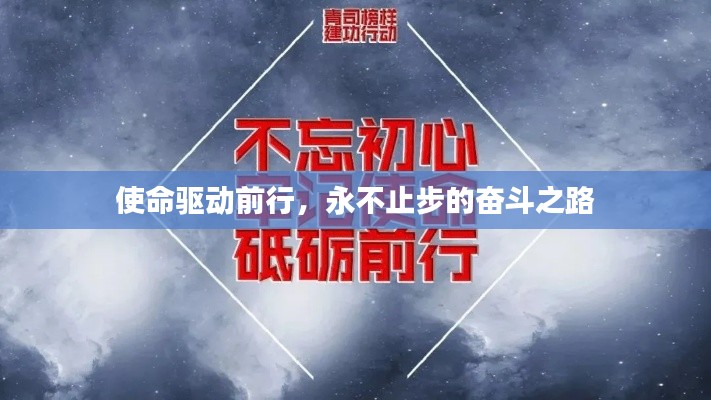 使命驱动前行,永不止步的奋斗之路