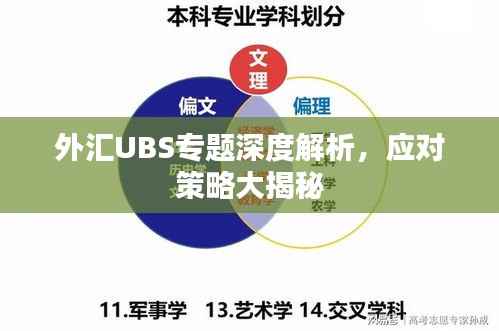 外汇UBS专题深度解析,应对策略大揭秘