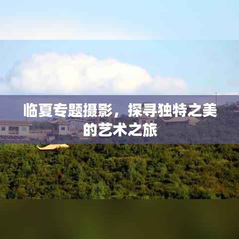 临夏专题摄影,探寻独特之美的艺术之旅