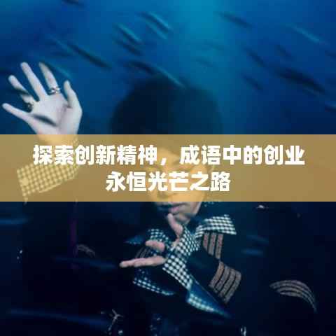 探索创新精神,成语中的创业永恒光芒之路