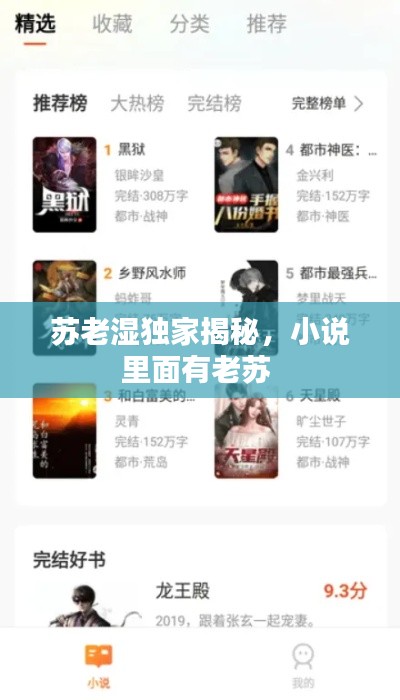 苏老湿独家揭秘,小说里面有老苏