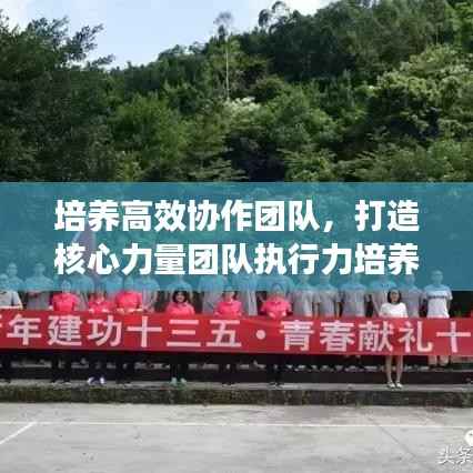 培养高效协作团队,打造核心力量团队执行力培养之道
