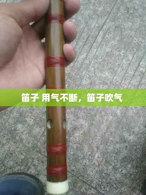 荣华富贵 第3页