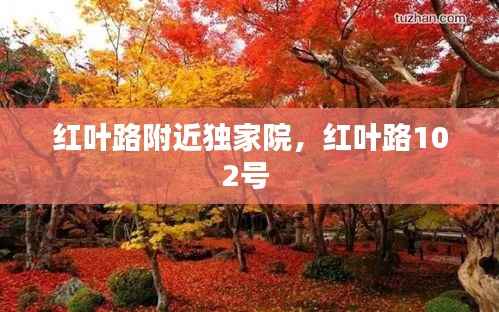 红叶路附近独家院,红叶路102号