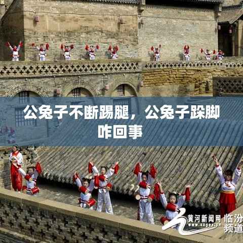 公兔子不断踢腿,公兔子跺脚咋回事