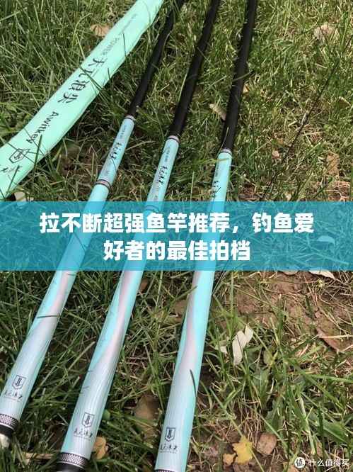 拉不断超强鱼竿推荐,钓鱼爱好者的最佳拍档