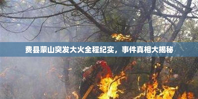 费县蒙山突发大火全程纪实,事件真相大揭秘