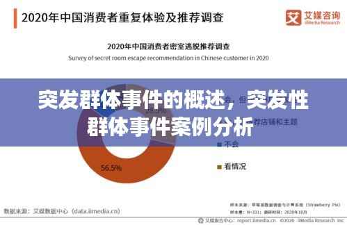 突发群体事件的概述,突发性群体事件案例分析