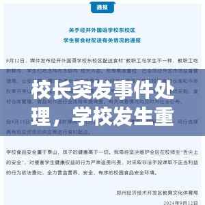 校长突发事件处理,学校发生重大事件校长擅离职守不按规定报告