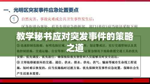 教学秘书应对突发事件的策略之道