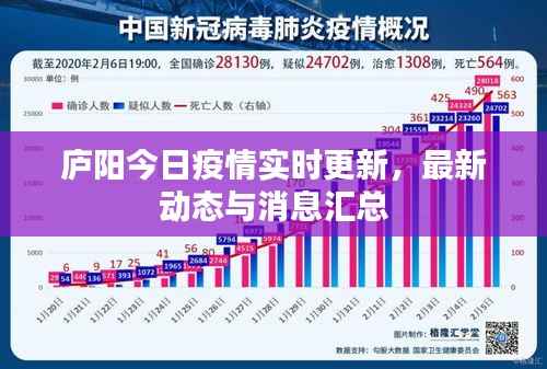 庐阳今日疫情实时更新,最新动态与消息汇总