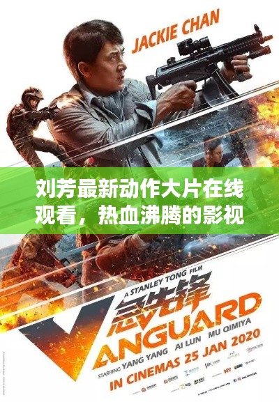 刘芳最新动作大片在线观看,热血沸腾的影视盛宴