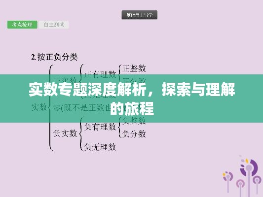 实数专题深度解析,探索与理解的旅程