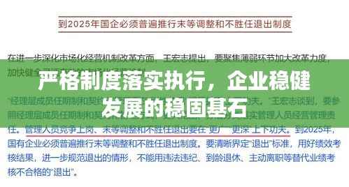 严格制度落实执行,企业稳健发展的稳固基石