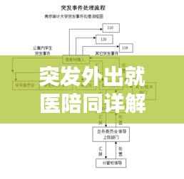 突发外出就医陪同详解,一站式流程指南