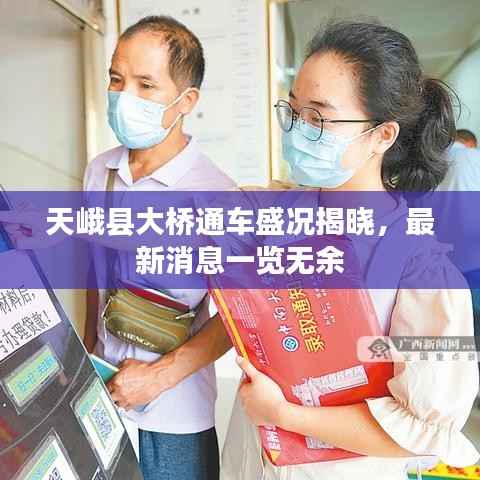 天峨县大桥通车盛况揭晓,最新消息一览无余