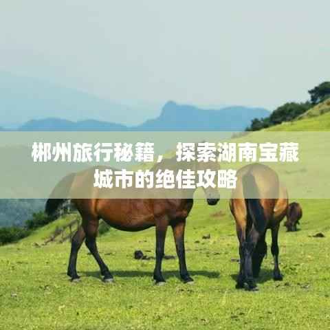郴州旅行秘籍,探索湖南宝藏城市的绝佳攻略