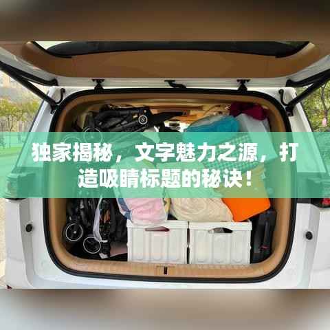 独家揭秘,文字魅力之源,打造吸睛标题的秘诀!