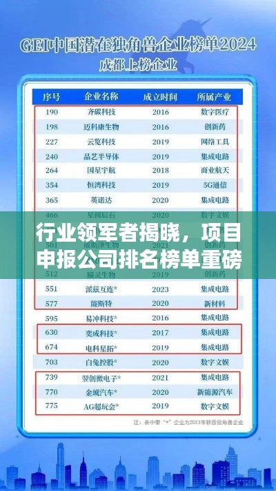 行业领军者揭晓,项目申报公司排名榜单重磅出炉!