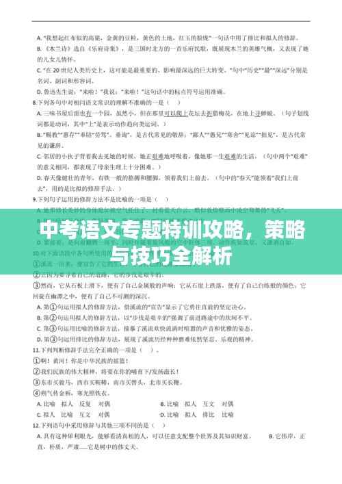 中考语文专题特训攻略,策略与技巧全解析
