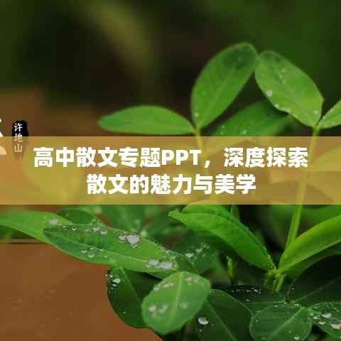 高中散文专题PPT,深度探索散文的魅力与美学