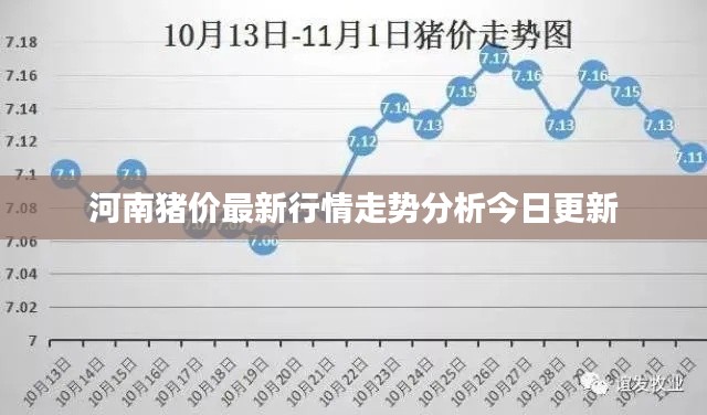 河南猪价最新行情走势分析今日更新