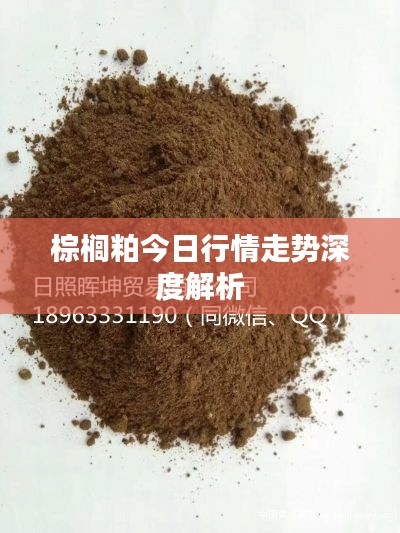 棕榈粕今日行情走势深度解析