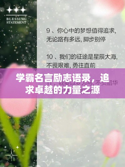 学霸名言励志语录,追求卓越的力量之源
