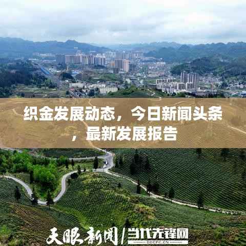 织金发展动态,今日新闻头条,最新发展报告