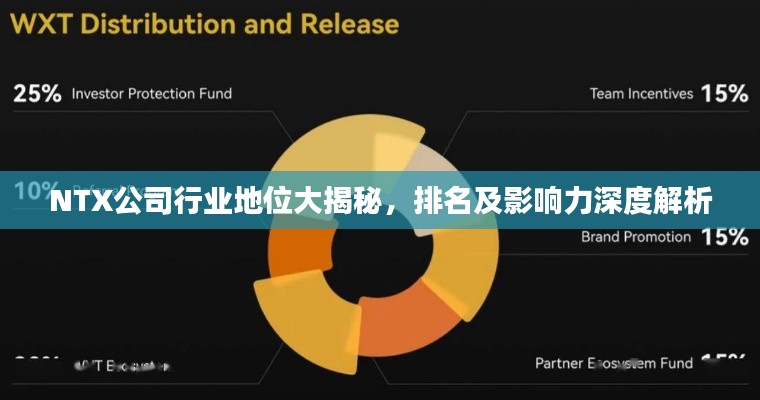 NTX公司行业地位大揭秘，排名及影响力深度解析
